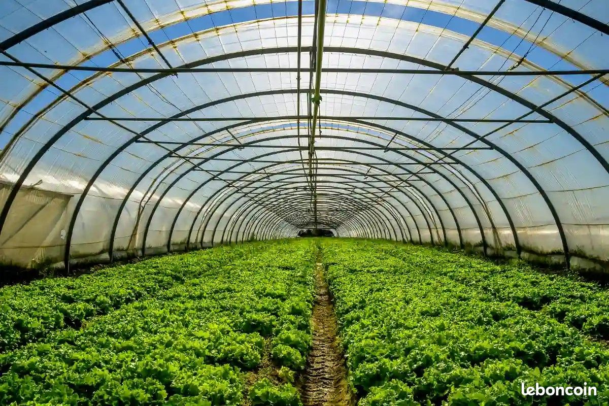 Serre agricole avec destratificateur